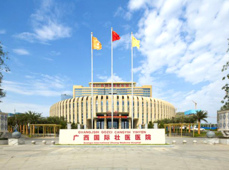 Guangxi International Zhuang Medicine