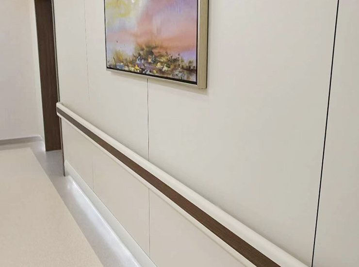 Custom Accessible Handrail