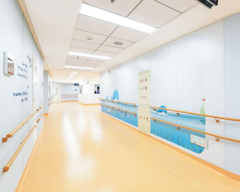 Hospital-Type PVC Crash-Resistant Handrail