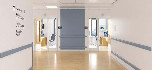 Nursing Home Corridor Handrail