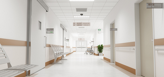 Nursing Home Corridor Handrail