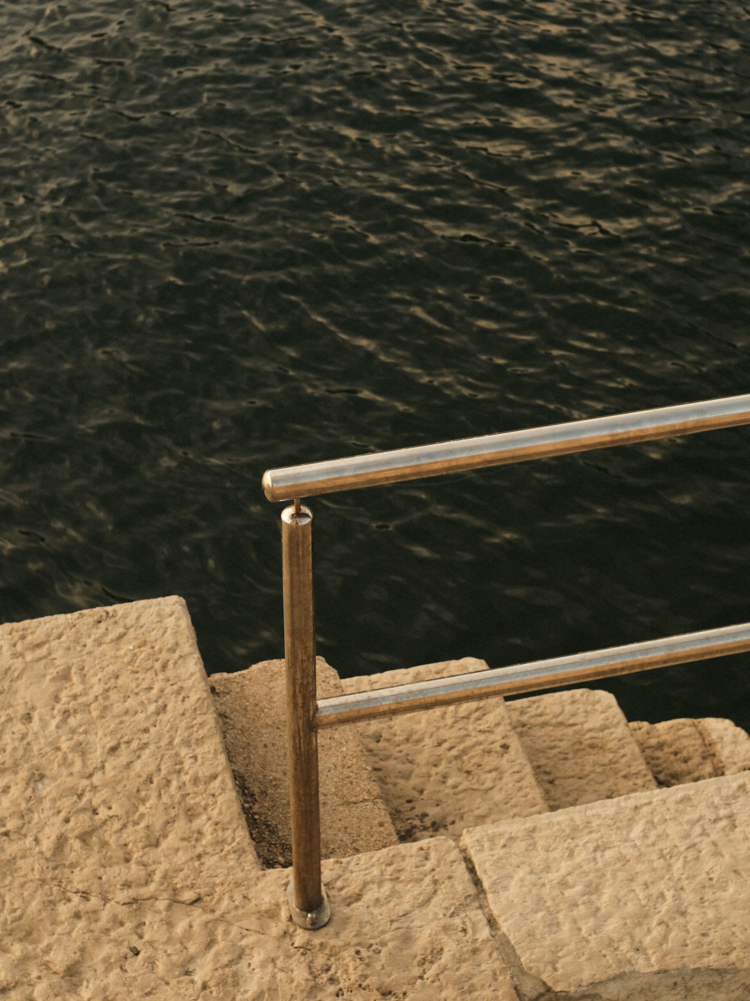 Special Needs Grab Rail