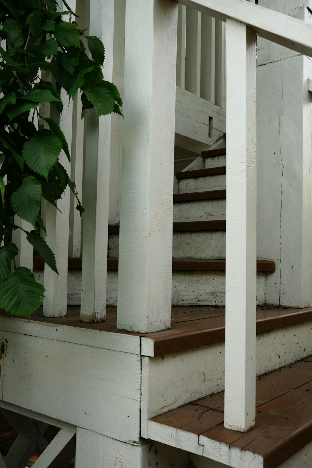 Accessibility Handrail Uses and Function Introduction